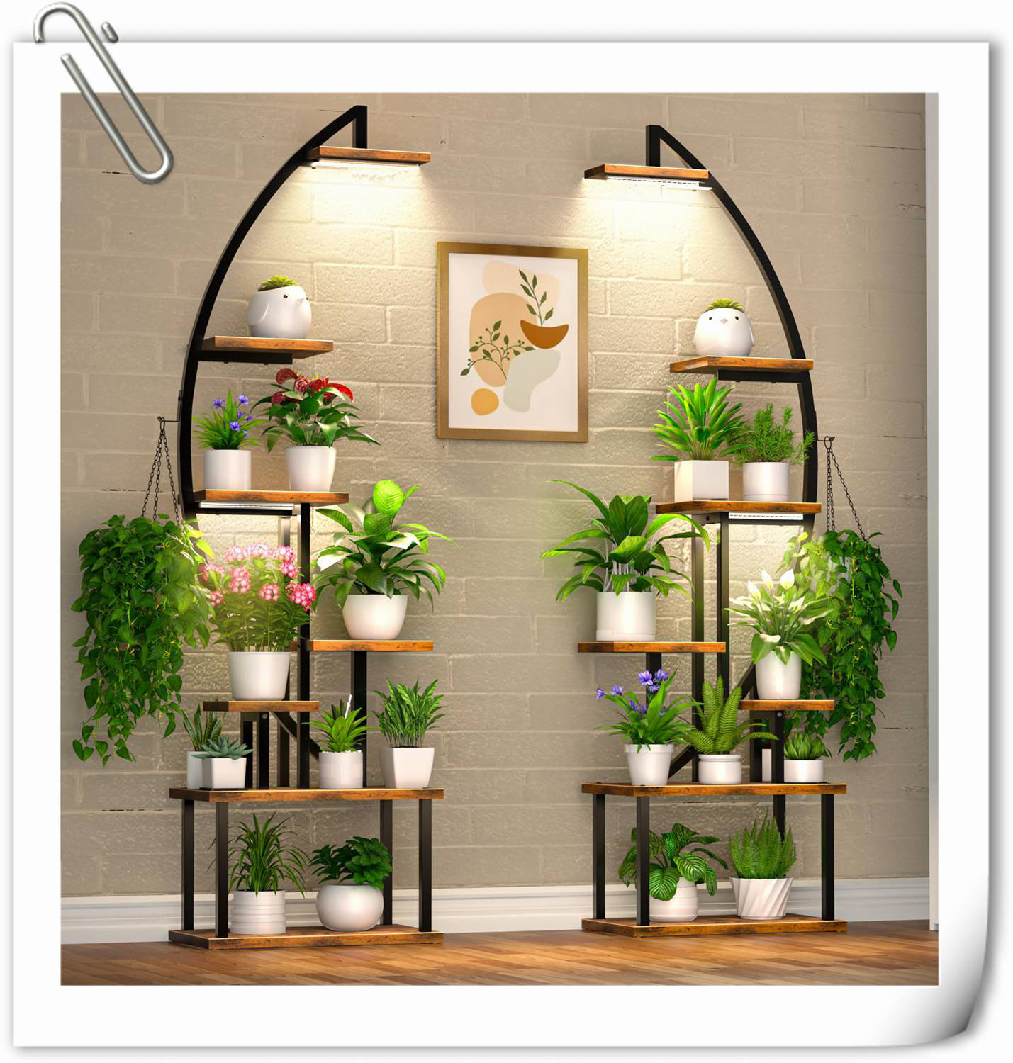 about philodendron plants selloum Philodendron Selloum Plant – New Growth Designs main image 0
