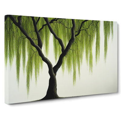 Irresistible Weeping Willow Tree - Wrapped Canvas