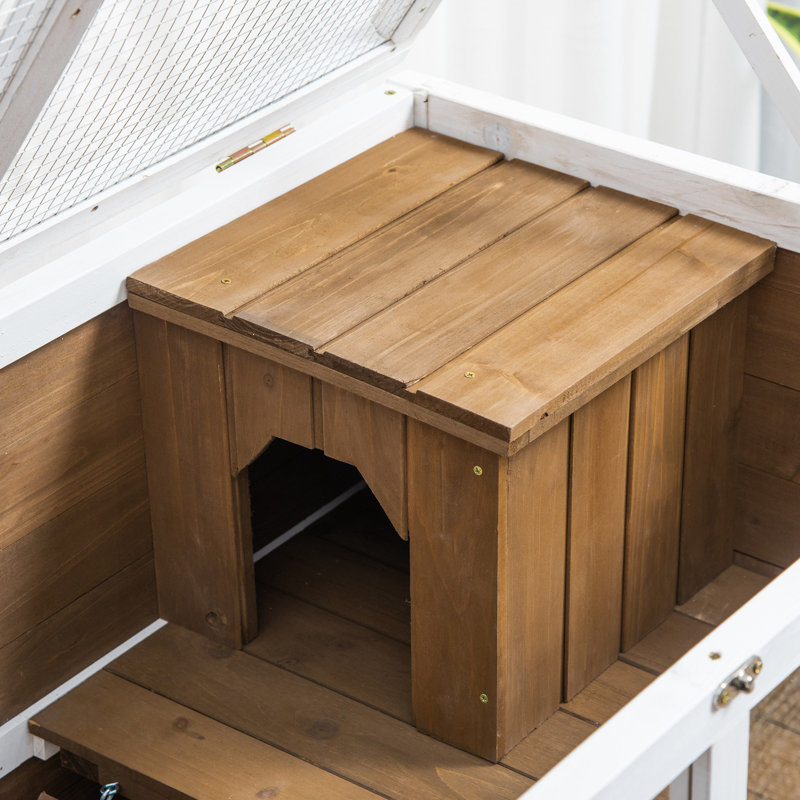Small Animal Hutch