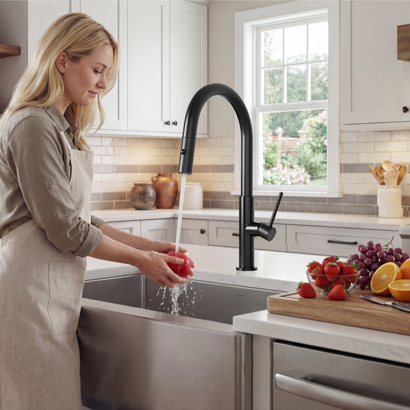 Robinet de cuisine avec douchette rétractable, robinets d'évier de cuisine à un trou, acier inoxydable 304, robinet à double fonction pour évier de ferme, noir