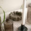 Assiette brillante-109848220