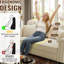 Staciee 41.3 " Velvet Sofa
