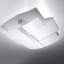Forseti Flush Mount-893668189