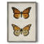 Vintage Animal Print XXIII Framed Print - Solid Wood-2024539933