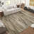 Abstract Rug Large Living Room Rugs Neutral Modern Washable Area Rugs for Bedroom Dining Room Non-Slip Stain Resistant Foldable Thin Rug-974854923