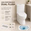 Toilette moderne en céramique une pièce, toilette brute 12 po à double chasse 1,1 / 1,6 GPF avec siège à fermeture rapide à fermeture rapide, toilette blanche facile à nettoyer