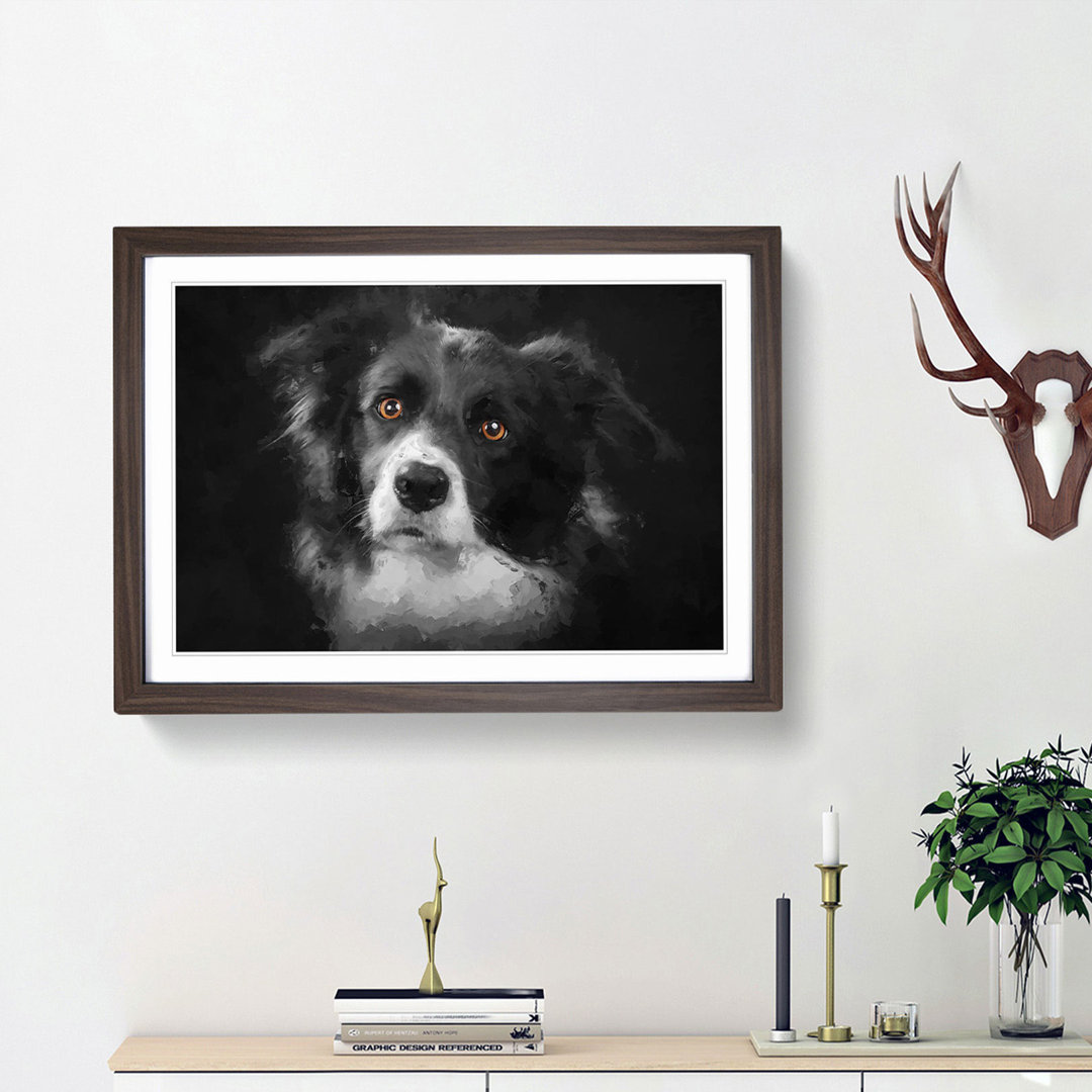 Brown Eyed Border Collie Dog in Abstract - Picture Frame Art Print