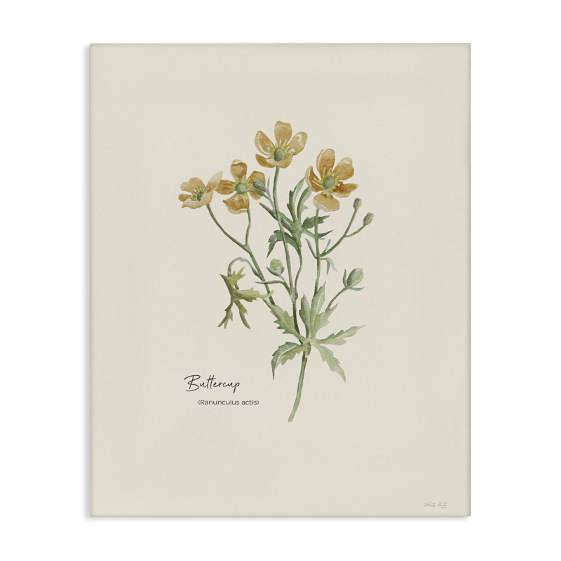«Simple Buttercup Flowers» par Cindy Jacobs, H 20 po x l 16 po