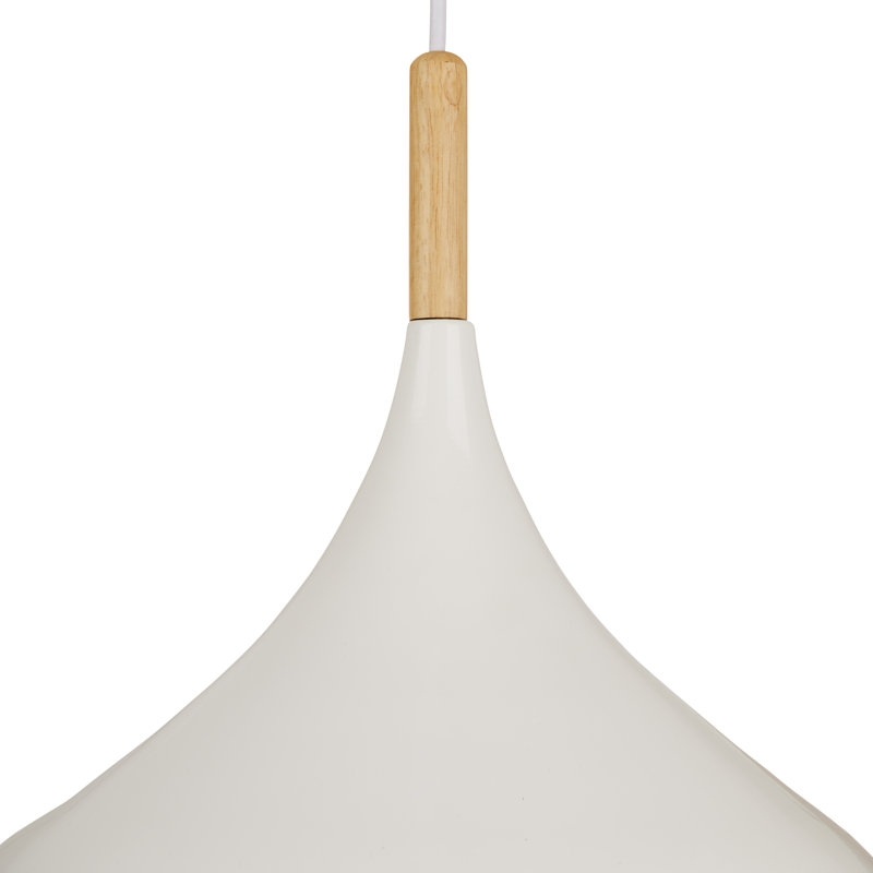Luminaire suspendu 1 lumière Barbot