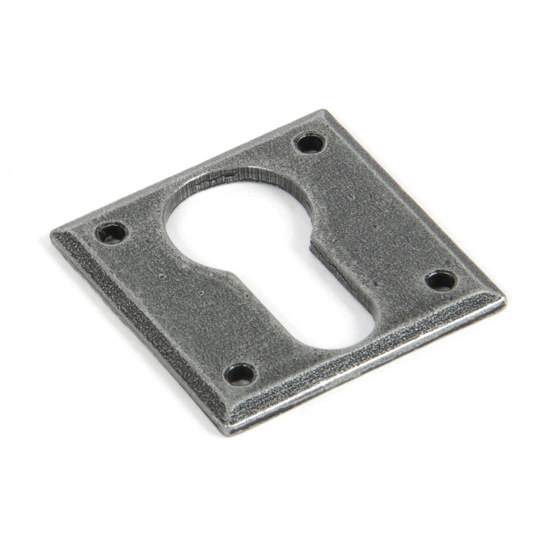 Avon Euro Escutcheon Door Accessory, Pewter