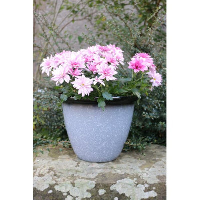 Sundhya Pot Planter