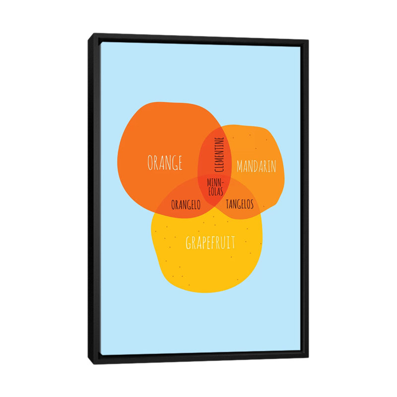 « oranges » par stephen wild, reproduction d’art sur toile tendue, H 26 po x l 18 po x P 1,5 po, Toile avec cadre noir