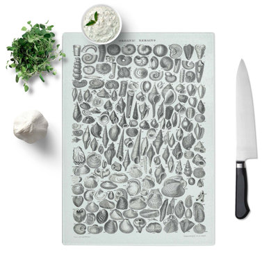 Tempered Glass Study of Mollusc Shells Lxvi by Oliver Goldsmith Chopping Board