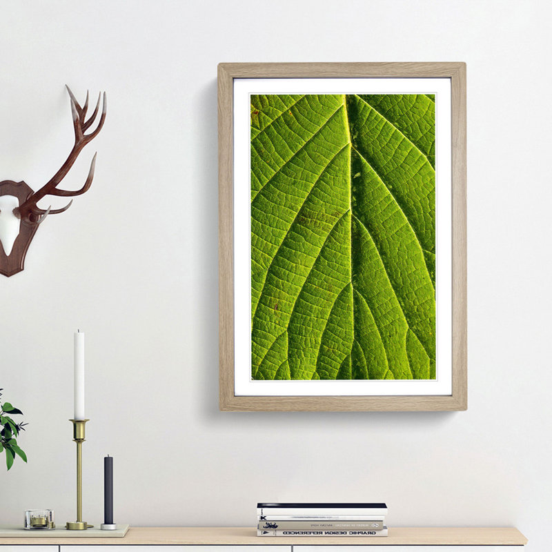 Leaf Pathways - Picture Frame Painting Print, 36cm H x 27cm W x 2cm D, Oak Framed
