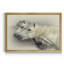 «Curiosity» - Cadre photo, impression sur toile-919158623-919158622