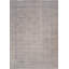 Transitional Silver/Gray Area Rug