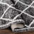 Elwell Moroccan Indoor Rug-1128603513