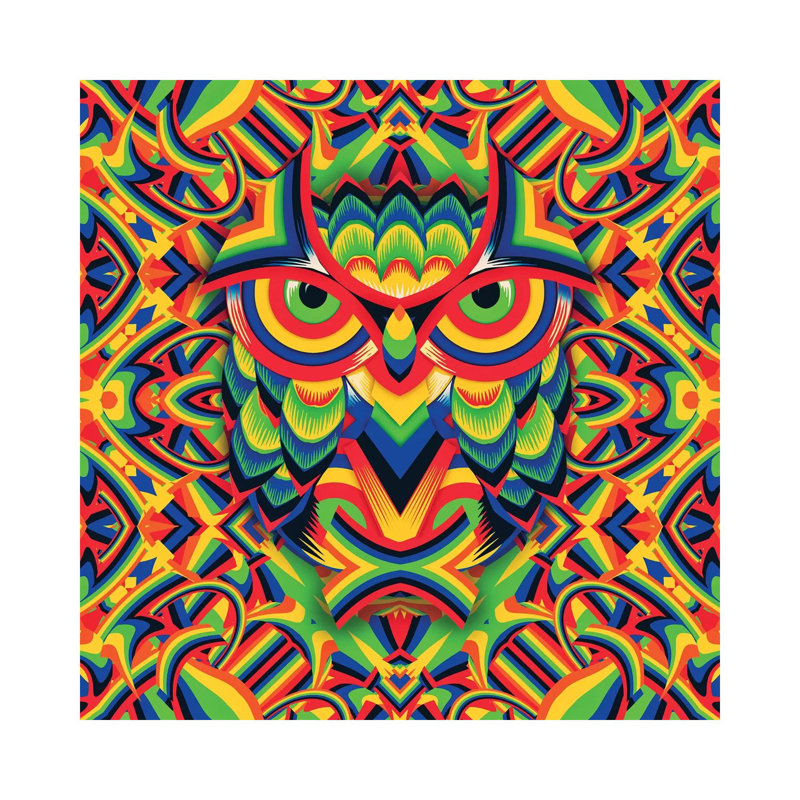 Owl 3, Square by Ali Gulec - Wrapped Canvas Print, 66.04 cm H x 66.04 cm W x 1.91 cm D