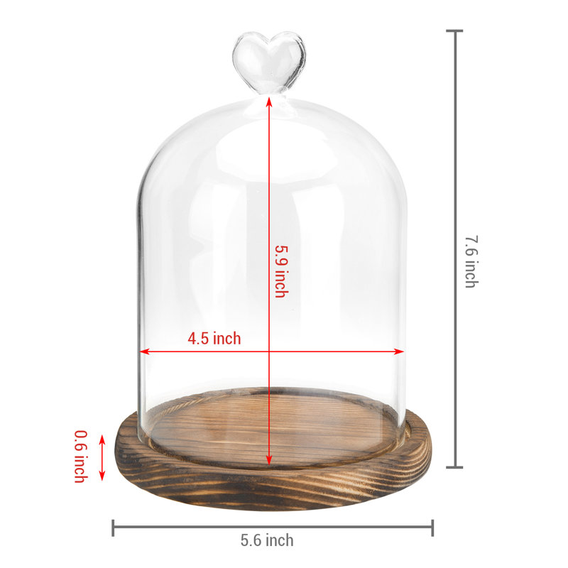 Glass Apothecary Jar