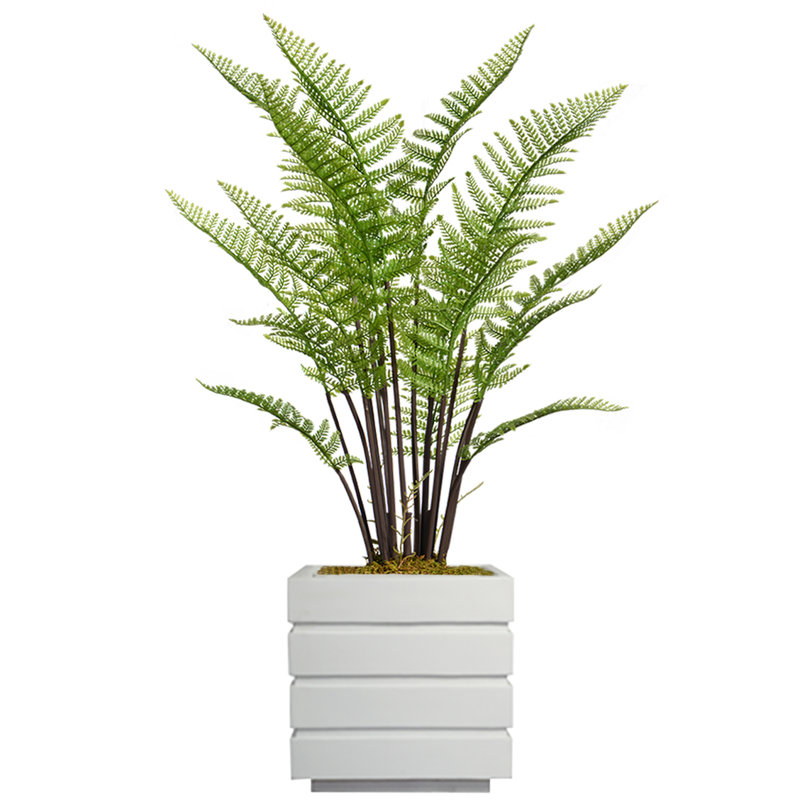 Fougère artificielle en pot 42 po Panama, Blanc