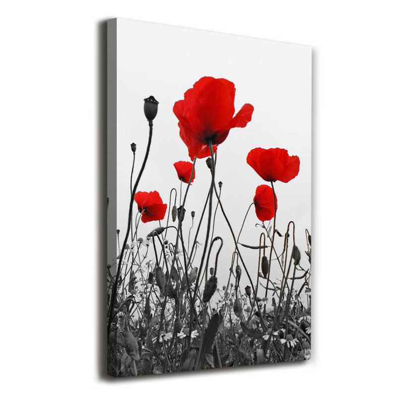 Field Poppies - Wrapped Canvas Print