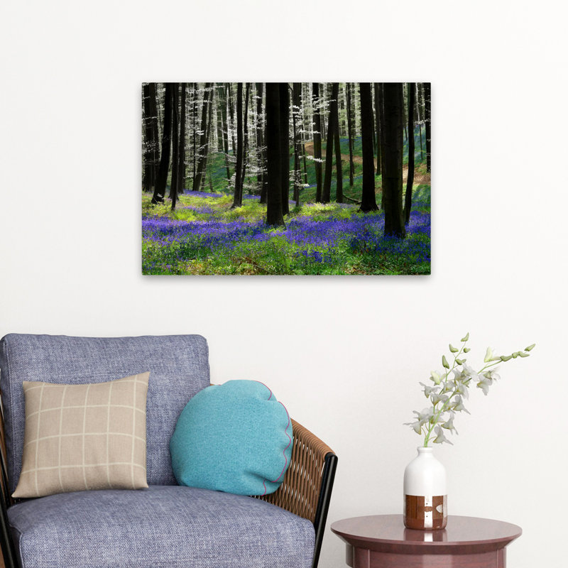 Bleu argenté - paysages, arbres, photographie, H 16 po x l 24 po