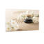 Fashion Zen pierres de jardin et fleurs blanches-233945279