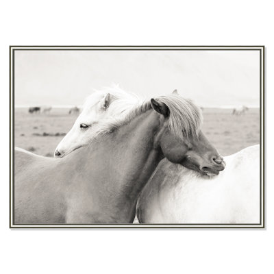 Melanie "Icelandic Meadow Horses" Print