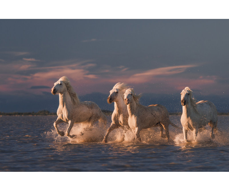 Wrapped Canvas Print, 50.8 cm H x 76.2 cm W