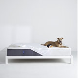 Casper Bedding Waterproof Mattress Protector