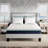 Nautica Home Medium Gel Memory Foam Mattress with Cooling Air Flow Layers, Bed-in-a-Box-111089278-86363106