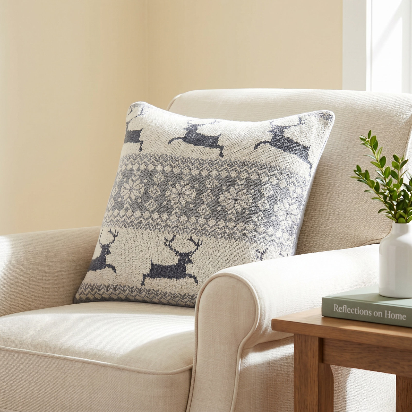 20" x 20" Throw Pillow
