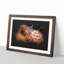 Highland Cow In The Shadows Paint Splash - Picture Frame Graphic Art-56866700-56866698
