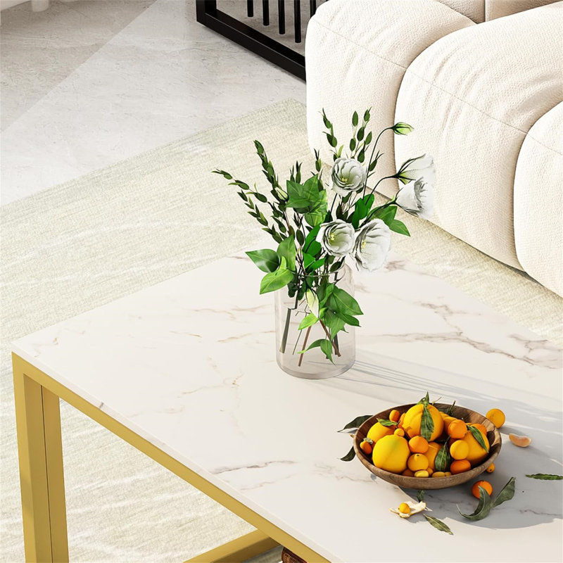 Daira Coffee Table with Storage, White, Gold