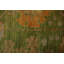 Tapis vert artisanal Oushak 6 x 8 au design intemporel
