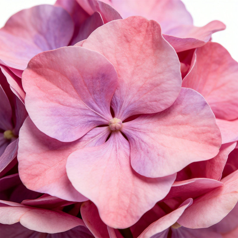 Arrangement floral artificiel