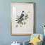 Spring Spring Gray Jay - peinture encadrée-612375621-612375674