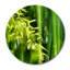 Bamboo Zen Print-46471850-46471856