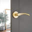 Mercury Lever Door Handle Satin Brass