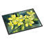 Paillasson aquarelle-282439437