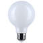 6 Watt White LED Bulb