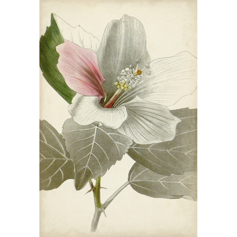 Botanique argenté VI, H 48 po x l 32 po