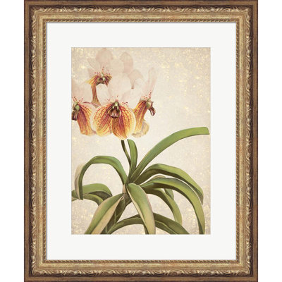 Orchidées 3 par Kimberly Allen - impression encadrée