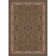 Edmont Oriental Indoor Rug