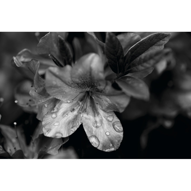 Poetry VIII by Tang Ling - Wrapped Canvas Print, 20cm H x 30cm W