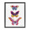  Small to Large Butterflies Floater Canvas Wall Art by Farida Zaman