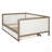 Upholstered Daybed With Trundle And Nailhead Trim, Wood Color, Perfect For Guest Rooms And Small Spaces