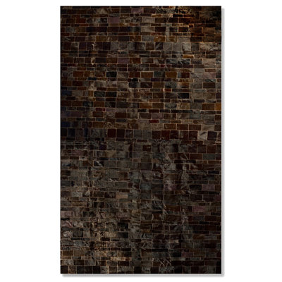 Sarthak Cowhide Animal Print Indoor Rug