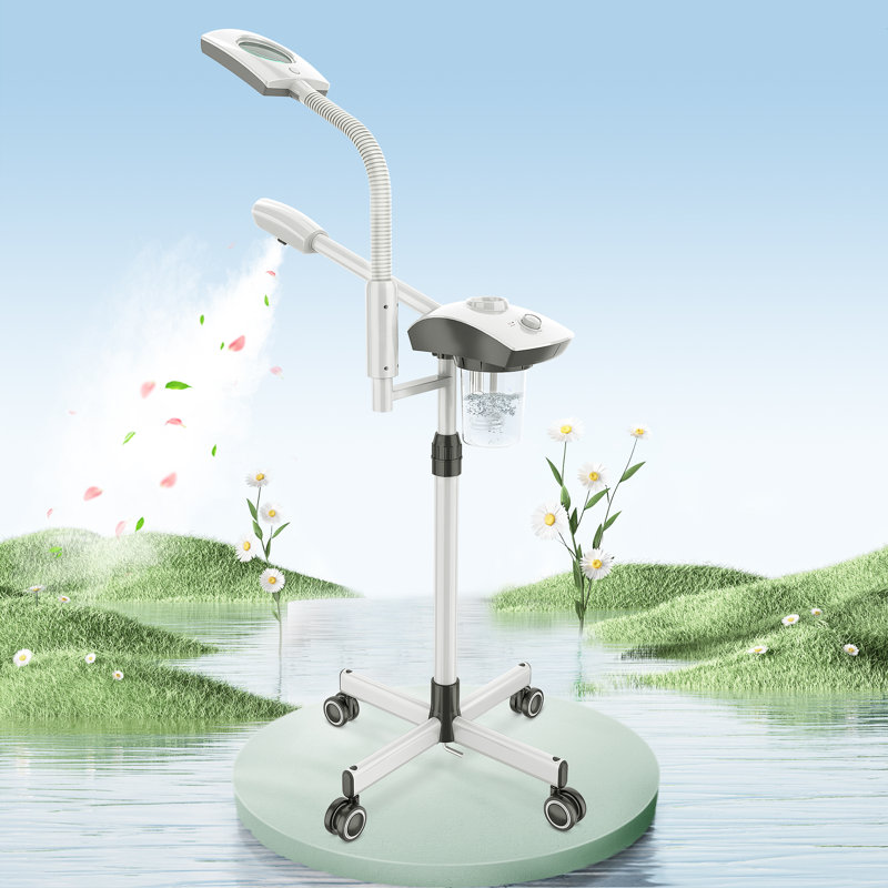 Cuiseur à vapeur 2 en 1 avec lampe grossissante 3X, Blanc