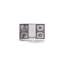 Cuisinière à double combustible de 40 po avec 6 brûleurs scellés et plaque chauffante (porte vitrée) ILVE Professional Plus II Series-494595615-494595585